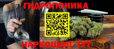 крисы Волжский