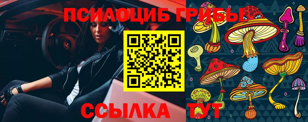 Шатура  Псилоцибиновые грибы GOLDEN TEACHER  Вход с VPN 