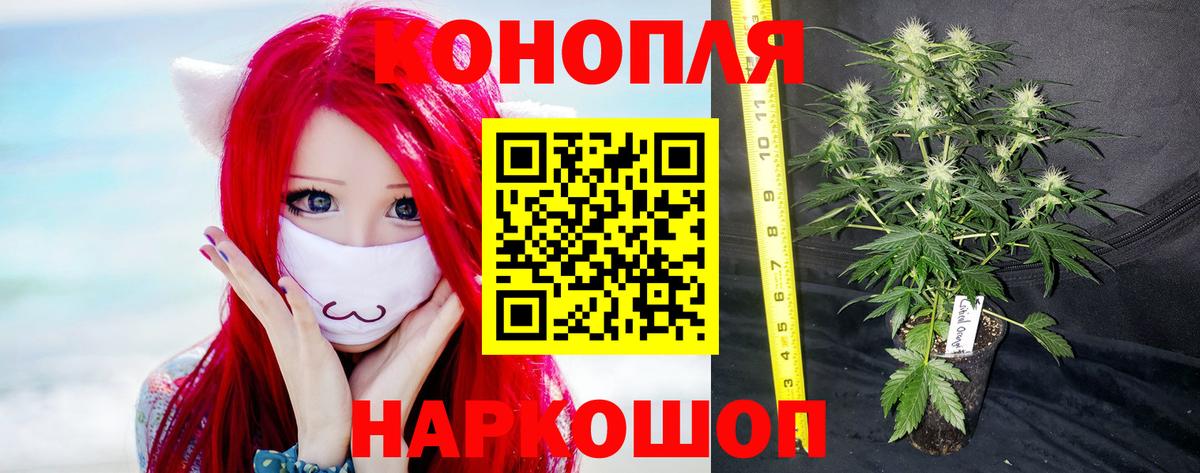 Шатура  МАРИХУАНА MAZAR  Конопля THC 21%  Конопля VHQ  Вход с VPN  Шишки марихуана OG Kush 
